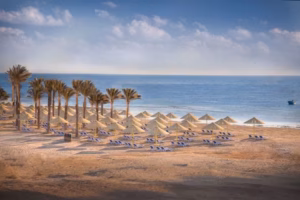 Abu Dabbab Marsa Alam Private Snorkeling with Turtles & Dugongs
