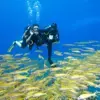 Diving Hurghada Prices