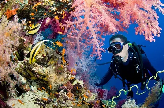 Diving in Hurghada Prices Overview