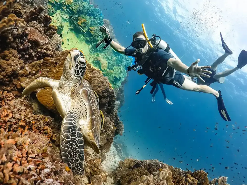 How to Book Diving Experiences