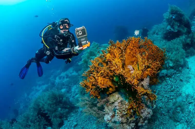 Is Diving in Hurghada Egypt Safe