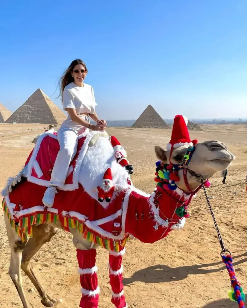 Pro Tips for Booking Hurghada Excursions