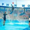 Dolphin show Hurghada price