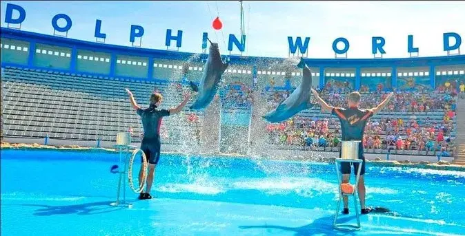 Dolphin show Hurghada price