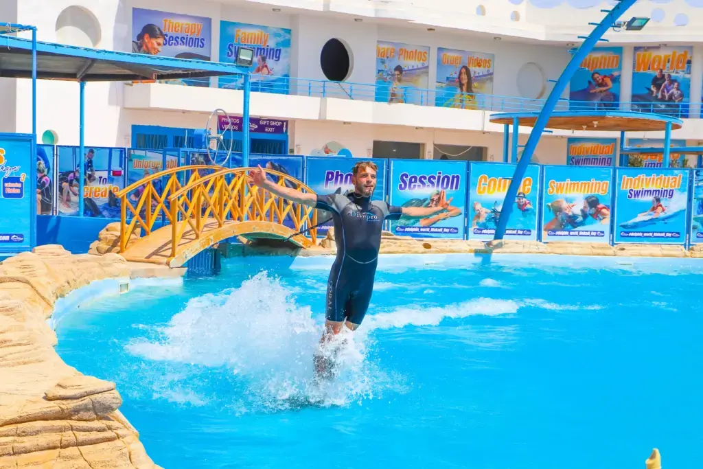 Dolphin world Hurghada price