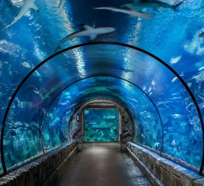 Hurghada Aquarium ticket