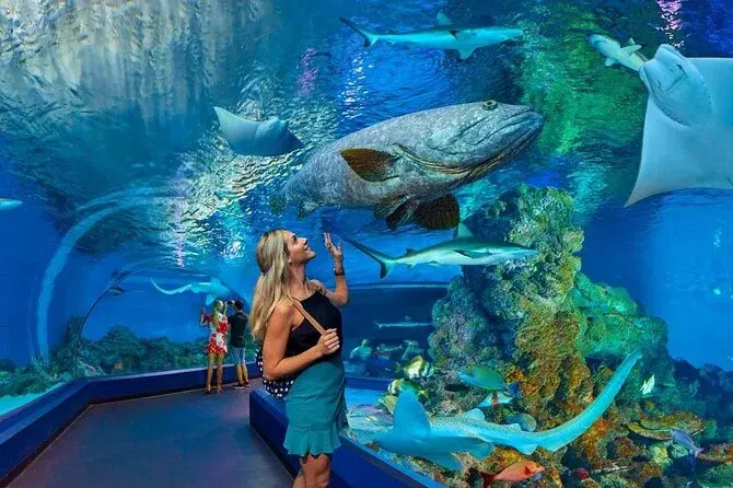 Hurghada Grand Aquarium price