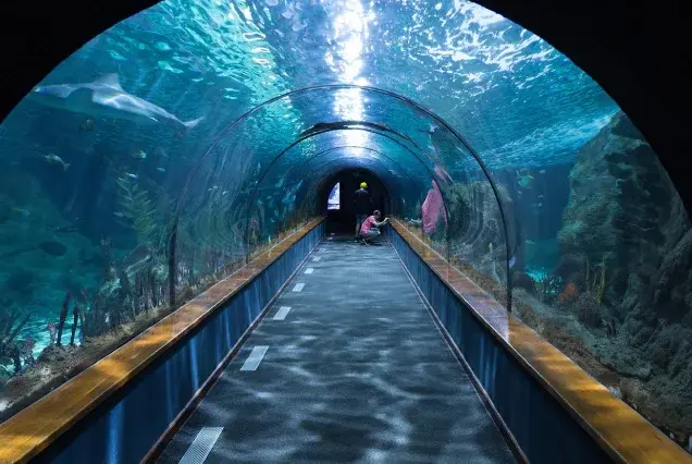 Hurghada Grand Aquarium tickets